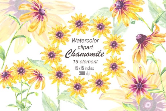 Flowers Chamomile Watercolor Clipart PNG: Elevating Your Creative Projects