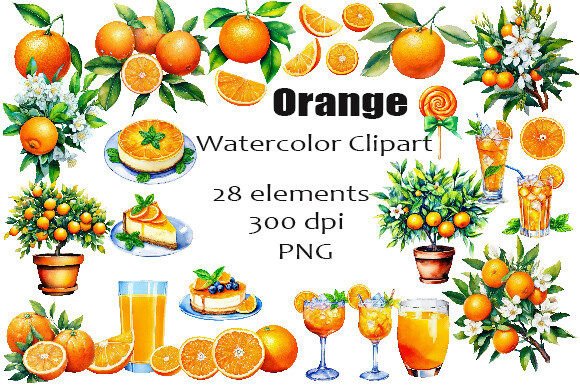 Oranges Watercolor Clipart PNG: A Creative Resource