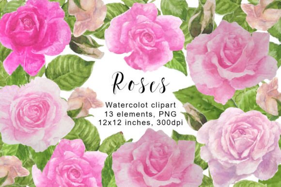 Watercolor Roses Clipart, PNG: A Practical Guide for Creators
